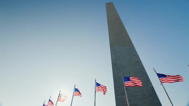 Washington Anıtı Şehrin Kalbinde Washington District Columbia Video — Stok video