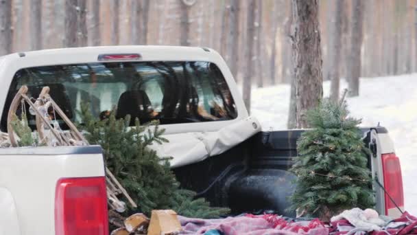 ティーンエイ ジャーは、ピックアップ トラックの後ろに新年のツリーを読み込み中です。クリスマスと新年のための準備 — ストック動画