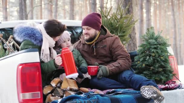 3 人の若い家族が冬の森で新年の木の近くの車の後ろに座って、魔法瓶から熱いお茶を飲む — ストック動画