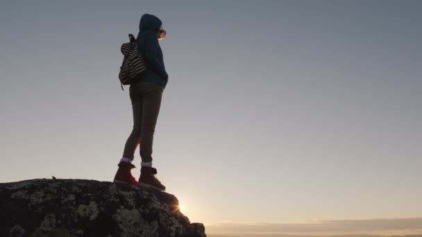 Une femme active couronnée de succès se dresse au sommet d'une montagne aux horizons infinis devant elle. Au sommet du monde le concept — Video