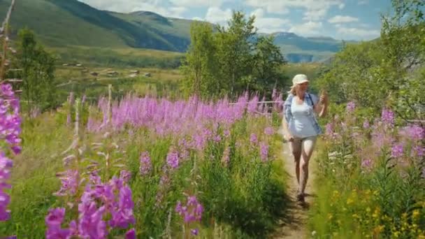 Aktywna Kobieta Spaceruje Pięknej Dolinie Pośród Kwitnących Kwiatów Tle Gór — Wideo stockowe