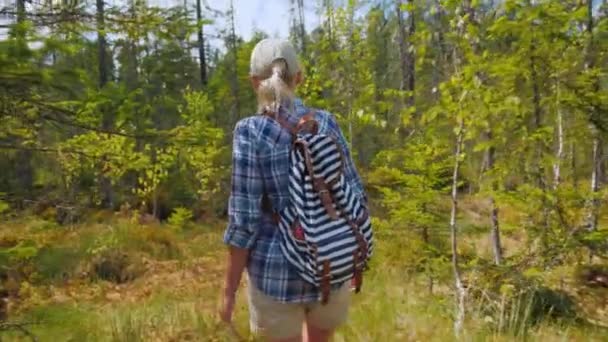 Žena chodí přes bažiny v lese. Pohled zezadu. Nebezpečný trek a ztratit koncepce — Stock video