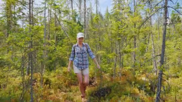 Gezgin bakir orman ve bataklık arazi yürür. Bilinmeyen keşfetmek ve orman kavramı içinde kaybolmak — Stok video