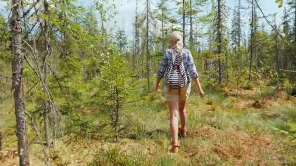 女性は森の中の湿地帯に歩きます。背面図。危険なトレックし、コンセプトで迷子になります。 — ストック動画