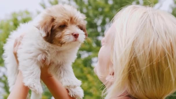 Une femme tient un chiot brun dans ses mains, le regardant. Charmant animal — Video