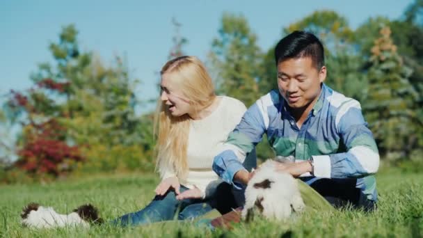 Homme asiatique et femme blanche jouant avec des chiots. Asseyez-vous sur la pelouse dans votre jardin — Video