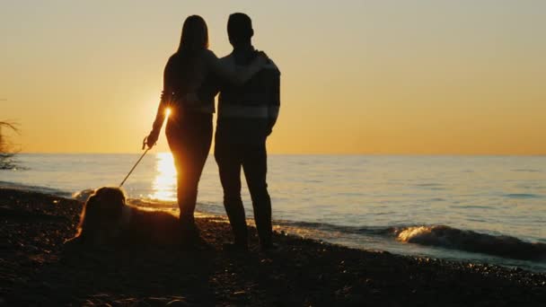 Pareja romántica joven admirando la puesta de sol sobre el mar. Cerca de su perro — Vídeos de Stock