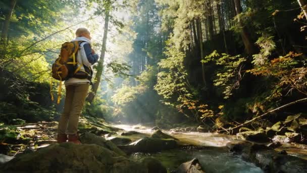 Eine Frau mit Rucksack steht frühmorgens im Wald und bewundert die schöne Aussicht und die Sonnenstrahlen, die durch die Äste der Bäume scheinen — Stockvideo