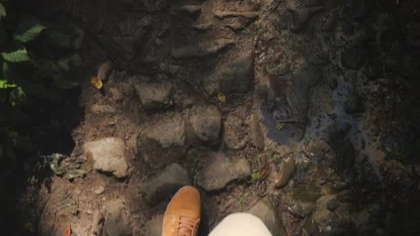 Um homem de botas de trekking caminha ao longo de um caminho pedregoso escorregadio na floresta. Vídeo em primeira pessoa — Vídeo de Stock