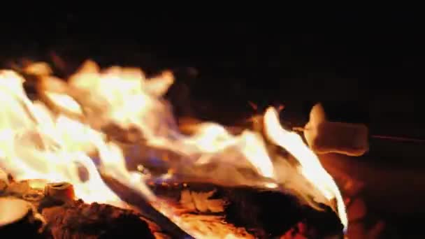 Dos malvaviscos en palos asados sobre un fuego — Vídeo de stock