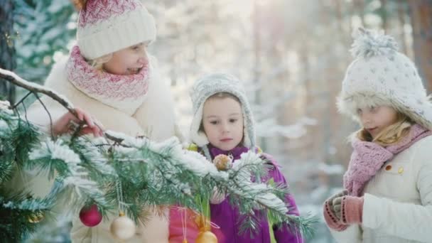 En glad familj dekorerar ett nyår träd i en Vinterpark, ha roligt väntar jul — Stockvideo