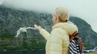 Bir kadın saf martılar beslenir. Norveç fiyortları üzerinde seyir