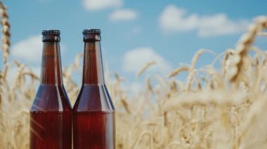 İki şişe sarı buğday alan ve mavi gökyüzü arka plan üzerinde serin bira. Doğal ürün kavramı