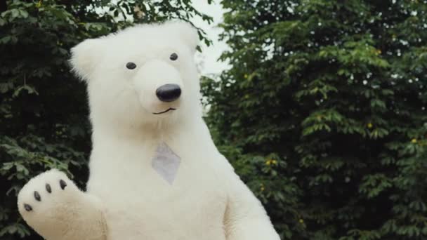 Um urso do norte amigável acena à câmera e dá um bom humor para as pessoas — Vídeo de Stock
