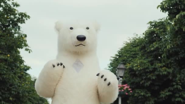 Divertido enorme oso blanco bailando en el parque — Vídeos de Stock