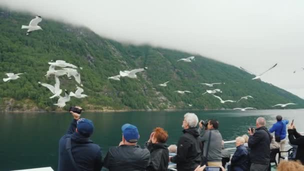 Geirangerfjorden, Norsko, červenci 2018: Skupina turistů na výletní lodi krmení racků — Stock video