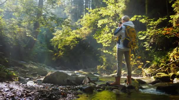 Жінка-фотограф фотографує красивий пейзаж в мальовничому лісі рано вранці — стокове відео