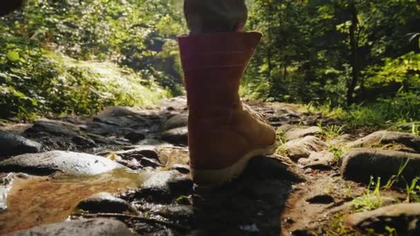 Uma turista feminina está caminhando ao longo de um caminho pedregoso na floresta. De manhã cedo, trekking e estilos de vida ativos — Vídeo de Stock