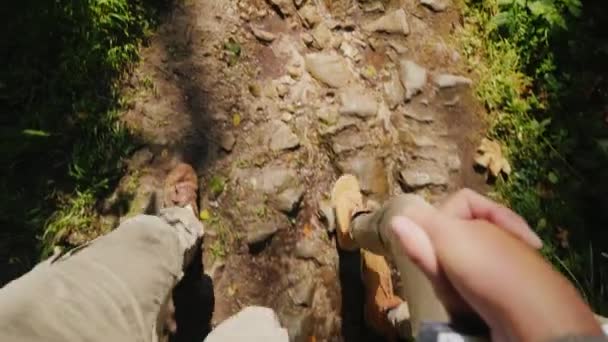 Un par de turistas se toman de la mano y caminan por un sendero de piedra resbaladizo en el bosque. Sólo las piernas son visibles — Vídeos de Stock