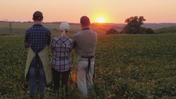 A családi gazdálkodók - férj, a feleség és a felnőtt fia állni a vakondok, csodálja meg a gyönyörű naplemente — Stock videók