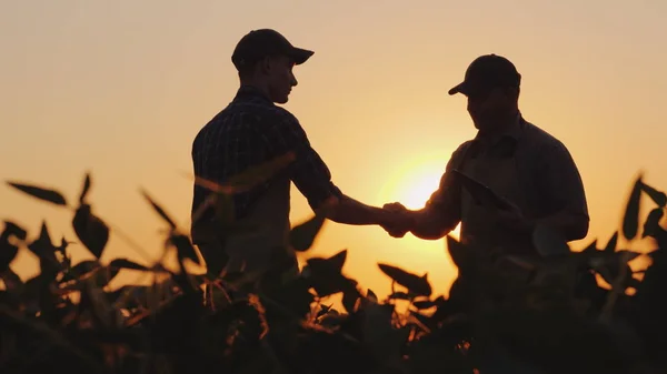 Dva farmáři mluvit na pole, pak si potřást rukou. Použití tabletu — Stock fotografie