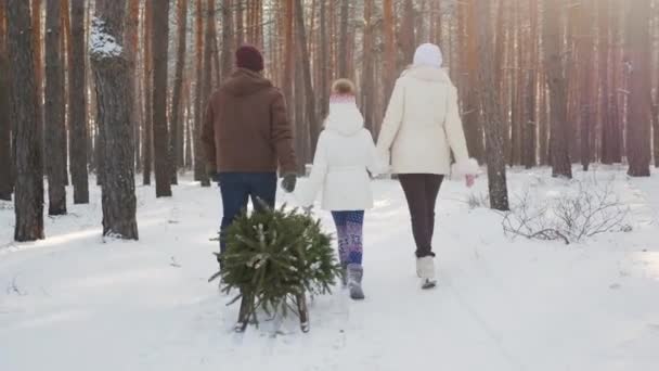 A married couple with a child walks through a snow-covered forest, a girl is dragging a sled with a Christmas tree. Christmas Eve and New Years Eve. Rear view — Stock Footage A married couple with a child walks through a snow-covered forest, a girl is dragging a sled with a Christmas tree. Christmas Eve and New Years Eve. Rear view Royalty Free Stock Video