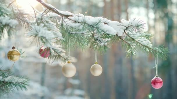 Hermosos adornos en un árbol de Navidad cubierto de nieve — Vídeos de Stock