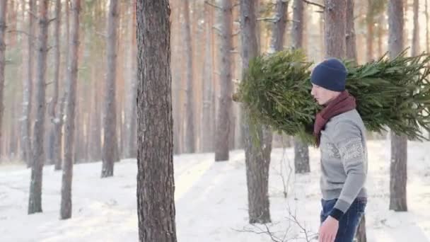 Ein Teenager lädt einen Neujahrsbaum in das Heck eines Pickups. Vorbereitung auf Weihnachten und Neujahr — Stockvideo