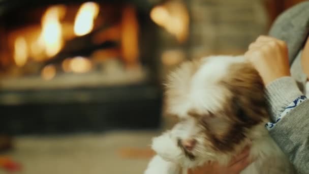 Woman holding a puppy in front of a fire — Stock Video