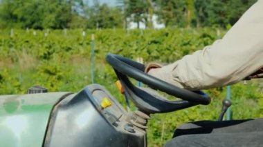 Çiftçiler eller rides bağ boyunca bir traktör direksiyona