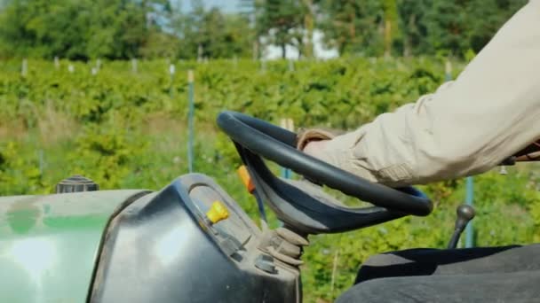 Zemědělci ruce na volant traktoru, podél vinice — Stock video
