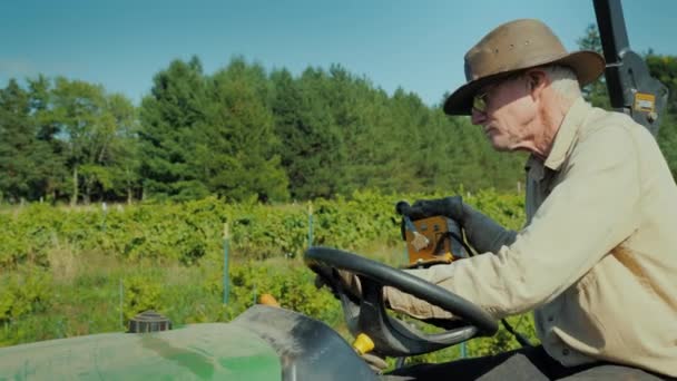 Akkerbouwer werkt in een wijngaard op een kleine trekker. — Stockvideo