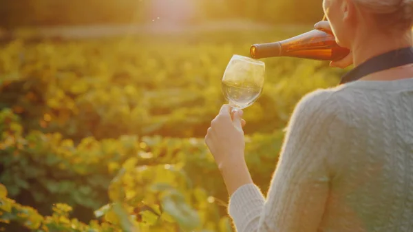 Жінка п'є біле вино в склянку. Приватна дегустація на винзаводі — стокове фото