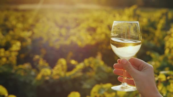 Hand mit einem Glas Weißwein auf dem Hintergrund des Weinbergs, die untergehende Sonne erhellt das Glas wunderschön — Stockvideo