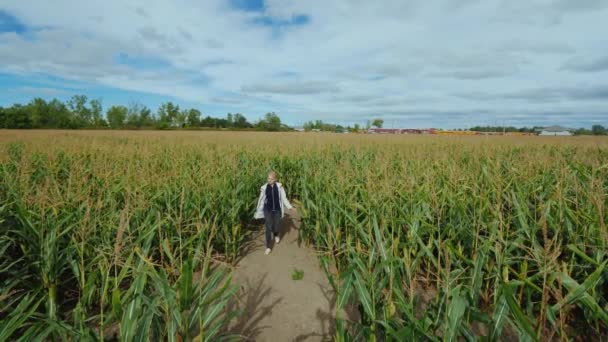 Egy középkorú nő eltévedt a kukorica labirintus próbálják megtalálni a helyes utat — Stock videók