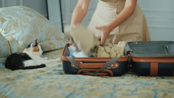 Жінка складає одяг у валізі, кошеня сидить поруч і дивиться її — стокове відео