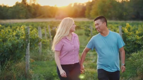 Feliz pareja multiétnica caminando en el viñedo. Cata de vinos y concepto turístico — Vídeos de Stock