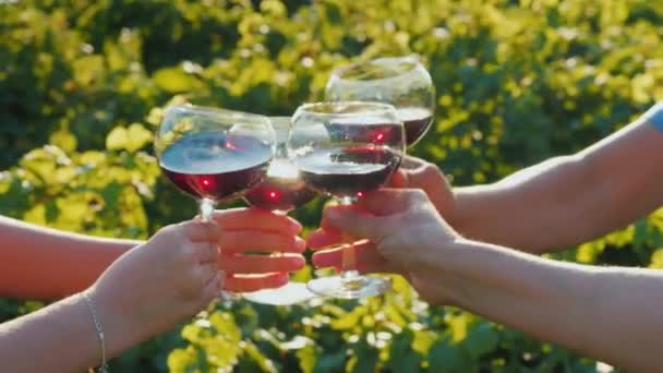 Un grupo de amigos tintinean copas en una cata de vinos en el viñedo. Solo las manos son visibles en el marco, el resplandor del sol brilla maravillosamente en las gafas — Vídeos de Stock