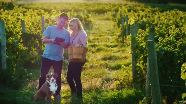 Pár stánků farmářů na vinici se těší tabletu. Vedle nich je jejich pes — Stock video