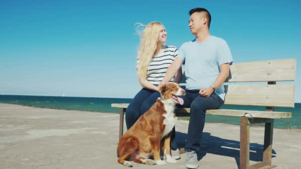 Una joven pareja está sentada en un banco en el muelle, jugando con su perro. Camina con tu mascota — Vídeos de Stock