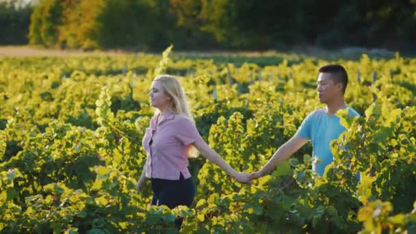 Молодая пара влюблённая, гуляющая по винограднику. Концепция туризма и дегустации вин — стоковое видео