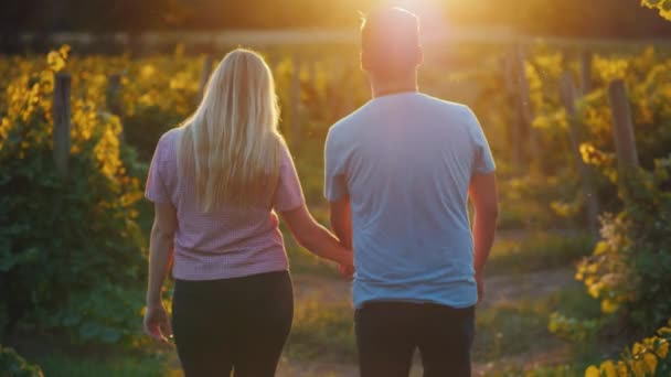 Rückansicht: glückliches multiethnisches Paar beim Spaziergang im Weinberg. Weinprobe und Tourismuskonzept — Stockvideo