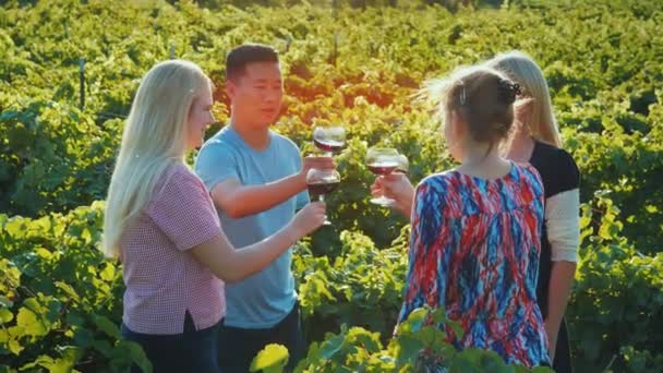 Многонациональная группа друзей дегустирует вино в винограднике. Концепция туризма и дегустации вин — стоковое видео