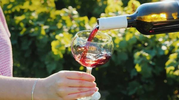 Pouring red wine in an elegant glass on the background of the vineyard. Wine tour — Stock Photo, Image