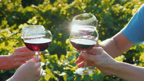 Egy baráti pohár vörösborral, a háttérben a szőlőkataszter összekoccannak. Bor túra és a turizmus fogalma — Stock Fotó