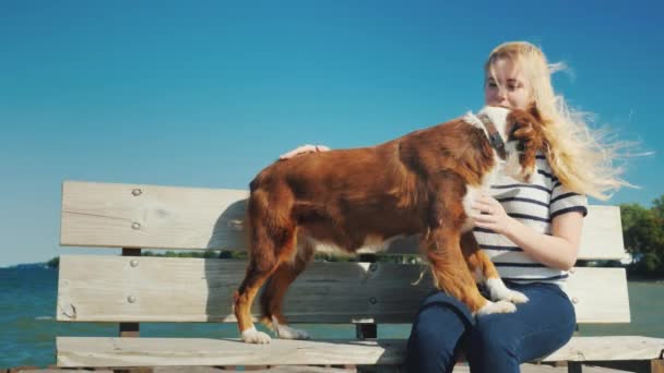 Junge Frau spielt mit einem Hund. sitzt auf einer Bank am Meer, der Wind spielt mit ihren Haaren — Stockvideo