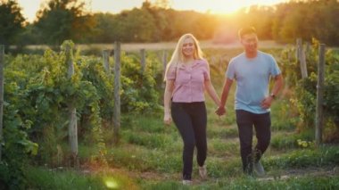 Mutlu genç çift bir üzüm bağı günbatımında yürüme. Asyalı erkek ve beyaz kadın