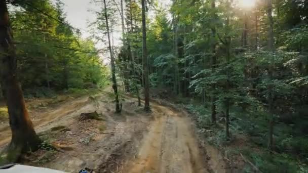 Conducción todoterreno extrema y charcos. Safaris todoterreno en el bosque — Vídeo de stock