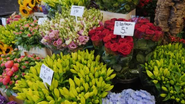 Presentation med färska blommor och prislappar på den berömda blomstermarknaden i Amsterdam — Stockvideo