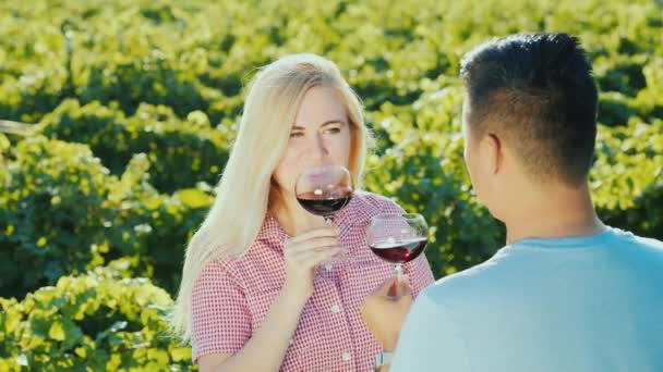 Degustazione di vini in vigna. Le persone provano il vino rosso in un tour del vino — Video Stock